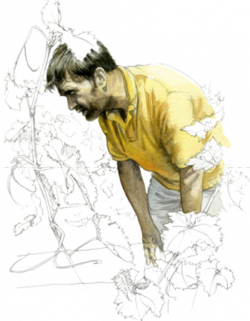 jean-louis-trapet-350x450