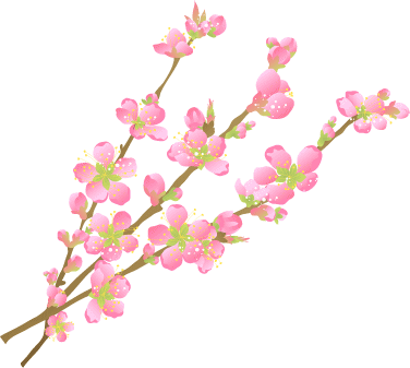 最高のかりん 花 イラスト すべての美しい花の画像